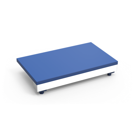 Tajo-expositor de fibra azul para mostrador de pescadería