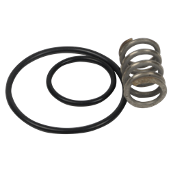 Juego de muelle y juntas para piña de grifo ducha