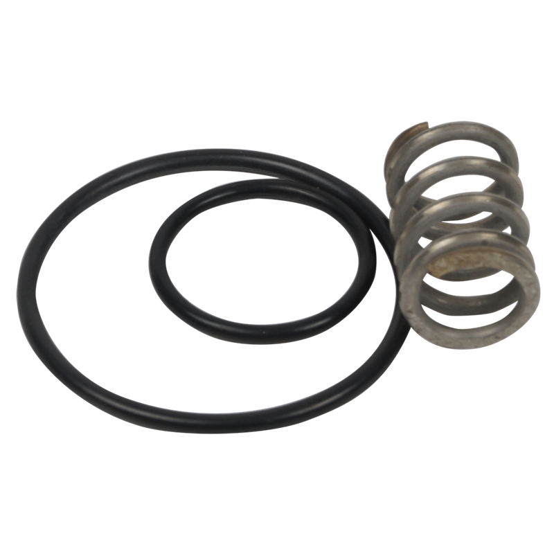 Juego de muelle y juntas para piña de grifo ducha