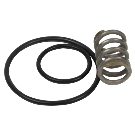 Juego de muelle y juntas para piña de grifo ducha