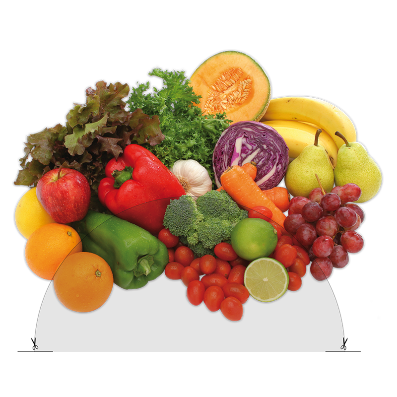 Adhesivo "Orgánico" para contenedor reciclaje