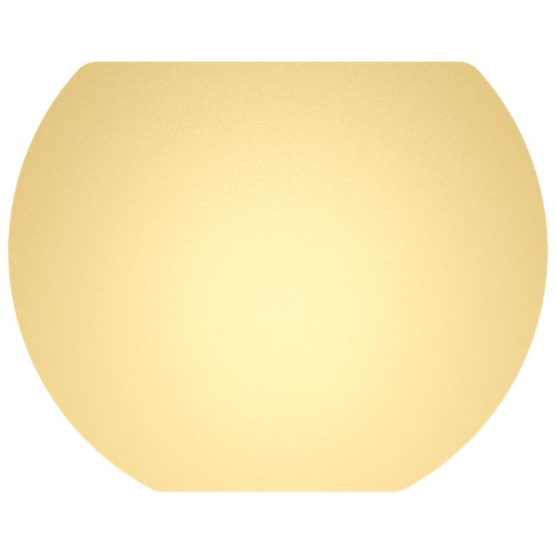 Caja de 6 trampas adhesivas (recambio) para exterminador BC