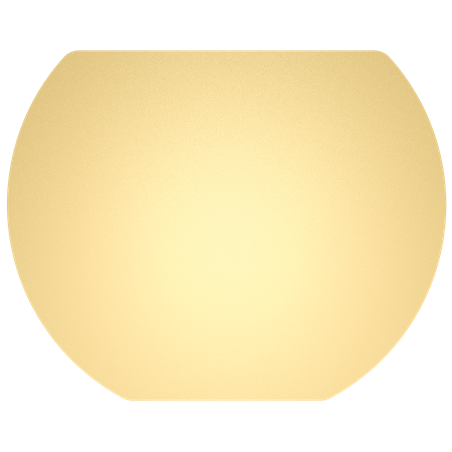 Caja de 6 trampas adhesivas (recambio) para exterminador BC