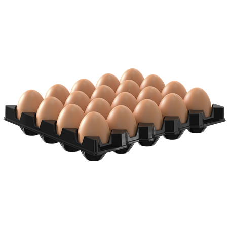 Bandeja de 20 huevos para cubeta Gastronorm